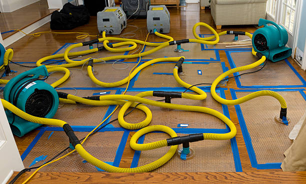 Professional Storm Water Damage Restoration technician working in Union, IL